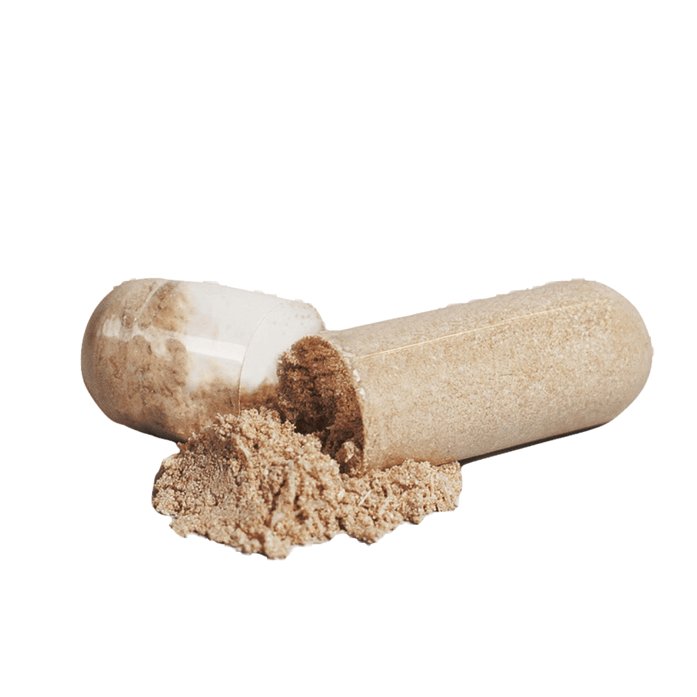 HormoZen — Balance, Energy, and Vitality (60 Capsules) 1500mg Maca extract per serving